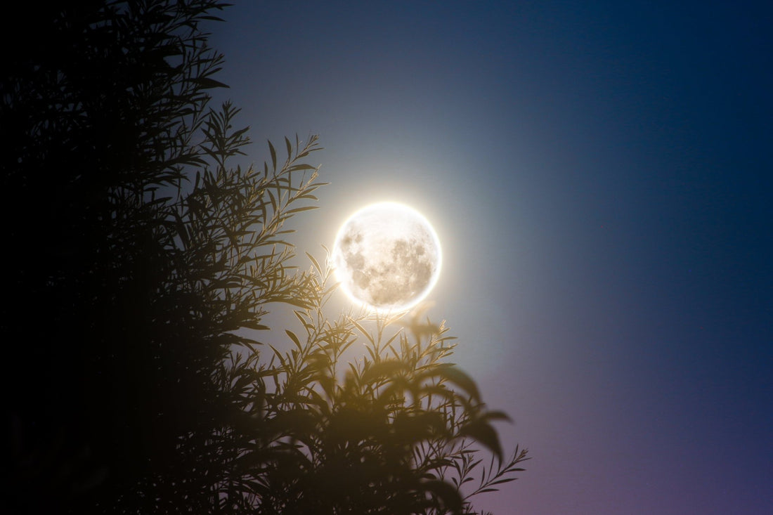 Embrace Cosmic Energies: New Moon in Sagittarius Rituals & Zodiac Insights - Divine Designs MX